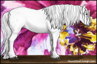 Horse Color:Gray Chestnut 