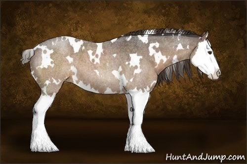 Horse Color:White Spotted Liver Red Roan Splash 