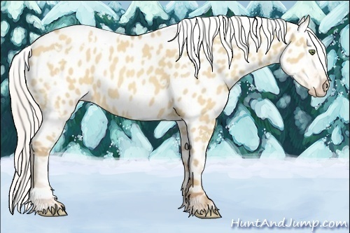 Horse Color:Silver Classic Champagne Roan Dun Splash Tobiano Frame Appaloosa Rabicano 