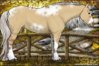Horse Color:Silver Bay Dun Sabino Tobiano Frame Rabicano 