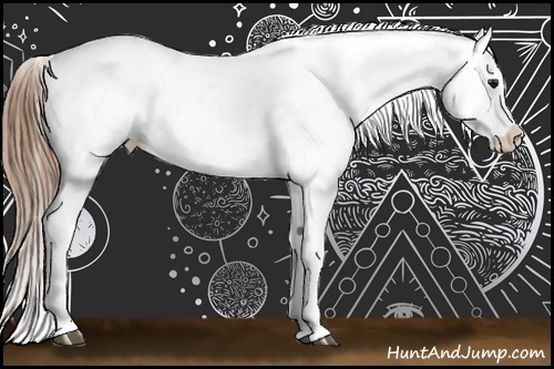 Horse Color:White Spotted Buckskin Appaloosa Rabicano 