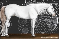 Horse Color:White Spotted Buckskin Varnish Rabicano 