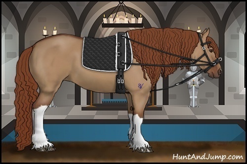 Horse Color:Red Dun