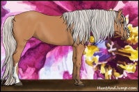 Horse Color:Silver Bay 