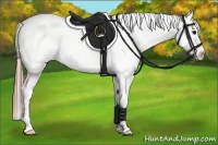 Horse Color:Grullo Blanket 