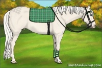 Horse Color:Cremello Roan