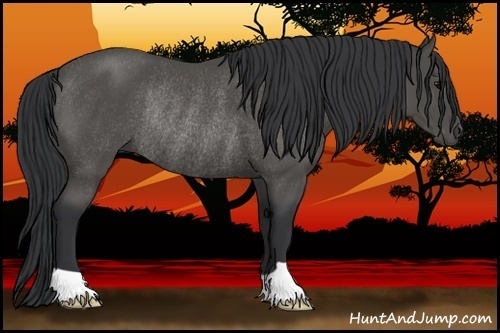 Horse Color:Black Rabicano