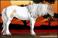 Horse Color:White Spotted Silver Black Pearl Tobiano Rabicano