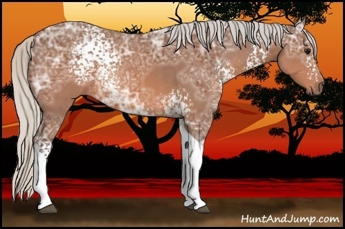 Horse Color:White Spotted Silver Brown Ice Tobiano 