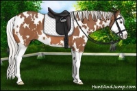 Horse Color:White Spotted Silver Bay Splash 