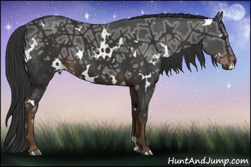 Horse Color:White Spotted Liver Chestnut Ice 