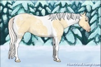 Horse Color:Silver Classic Champagne Ice Dun Tobiano 