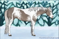 Horse Color:White Spotted Silver Black Splash Tobiano 