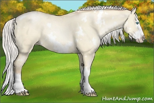 Horse Color:White Spotted Silver Smoky Grullo Pearl Splash 