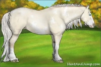 Horse Color:White Spotted Silver Smoky Grullo Pearl Splash