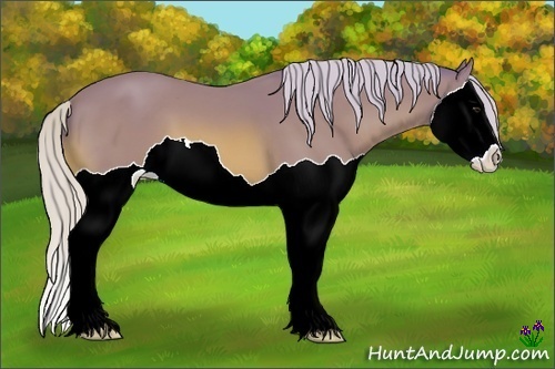 Horse Color:Watercolor Silver Bay Splash