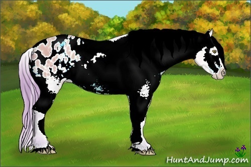 Horse Color:Watercolor White Spotted Amber Champagne Splash Tobiano Varnish  Brindle