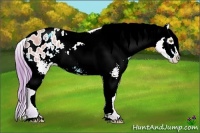 Horse Color:Watercolor White Spotted Amber Champagne Splash Tobiano Varnish  Brindle