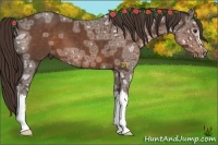 Horse Color:Liver Chestnut Ice 