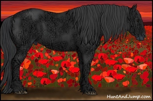 Horse Color:Black Ice 