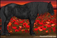 Horse Color:Black Ice 