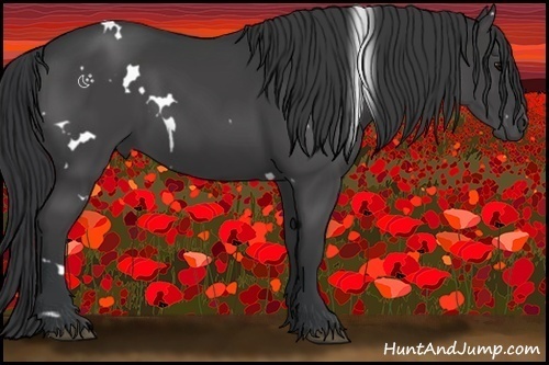 Horse Color:White Spotted Black 