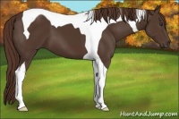 Horse Color:Liver Chestnut Tobiano 