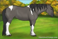 Horse Color:Grullo Tobiano