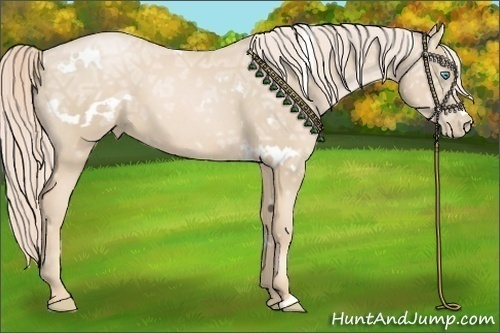 Horse Color:White Spotted Palomino Ice Pearl 