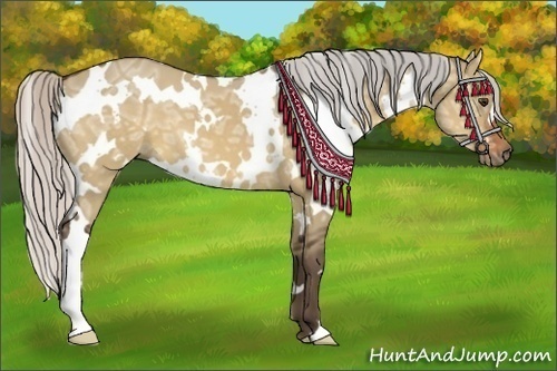 Horse Color:White Spotted Silver Bay Ice Dun 