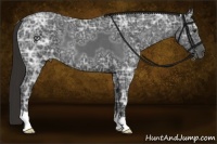 Horse Color:Liver Red Ice Roan