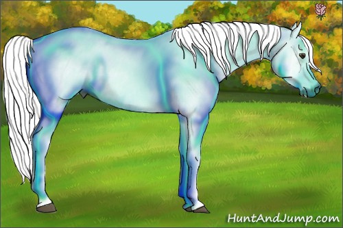 Horse Color:Gray Chestnut
