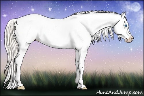 Horse Color:Silver Bay Splash Frame Appaloosa 