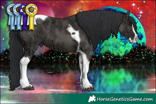 Horse Color:Grullo Ice Splash Tobiano 