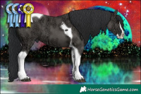 Horse Color:Grullo Ice Splash Tobiano