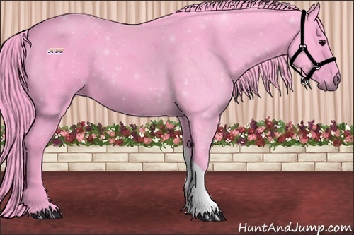 Horse Color:Watercolor Black 