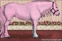 Horse Color:Watercolor Black 