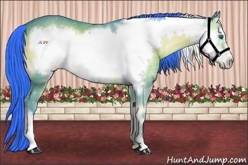 Horse Color:Watercolor Bay Onyx Frame 