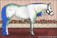 Horse Color:Watercolor Bay Onyx Frame