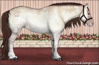 Horse Color:Classic Champagne Ice Onyx 