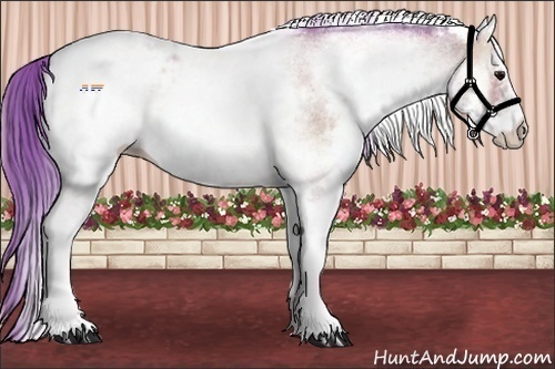 Horse Color:Watercolor White Spotted Classic Champagne Ice Onyx 