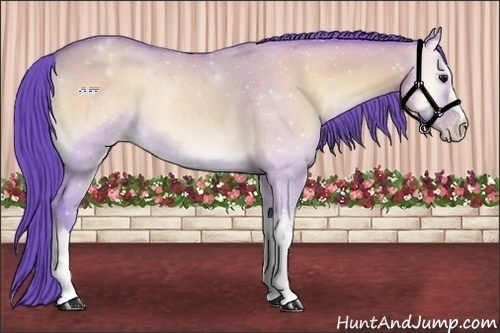 Horse Color:Watercolor Sable Champagne Onyx 