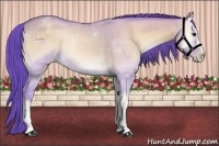 Horse Color:Watercolor Sable Champagne Onyx 