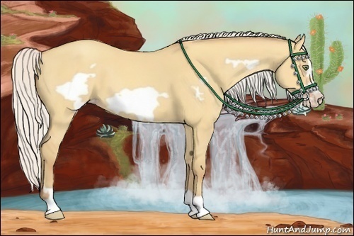 Horse Color:Silver Amber Champagne Dun Frame 