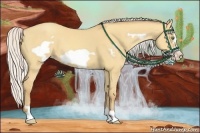 Horse Color:Silver Amber Champagne Dun Frame 