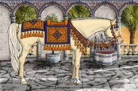 Horse Color:Gold Cream Champagne Dun