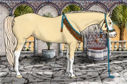 Horse Color:Gold Cream Champagne Dun Sabino 