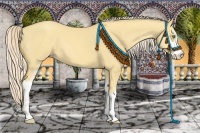 Horse Color:Gold Cream Champagne Dun Sabino