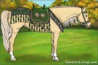 Horse Color:Palomino Dun 