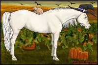 Horse Color:Gold Cream Champagne Pearl Dun 